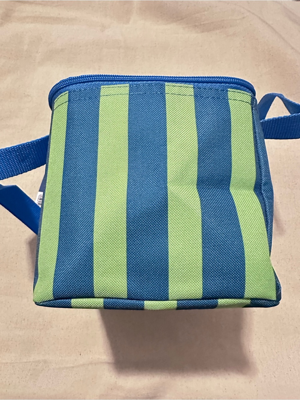 Trader Joe's | Insulated Bag | Striped Insulated Mini Tote | Blue & Green - Picture 5 of 11